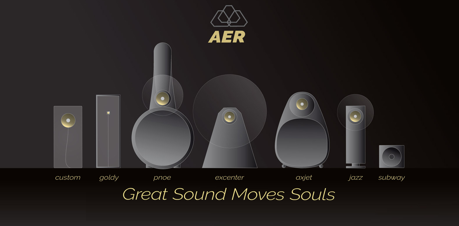 Procuct Overview of AER